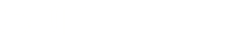金安国纪